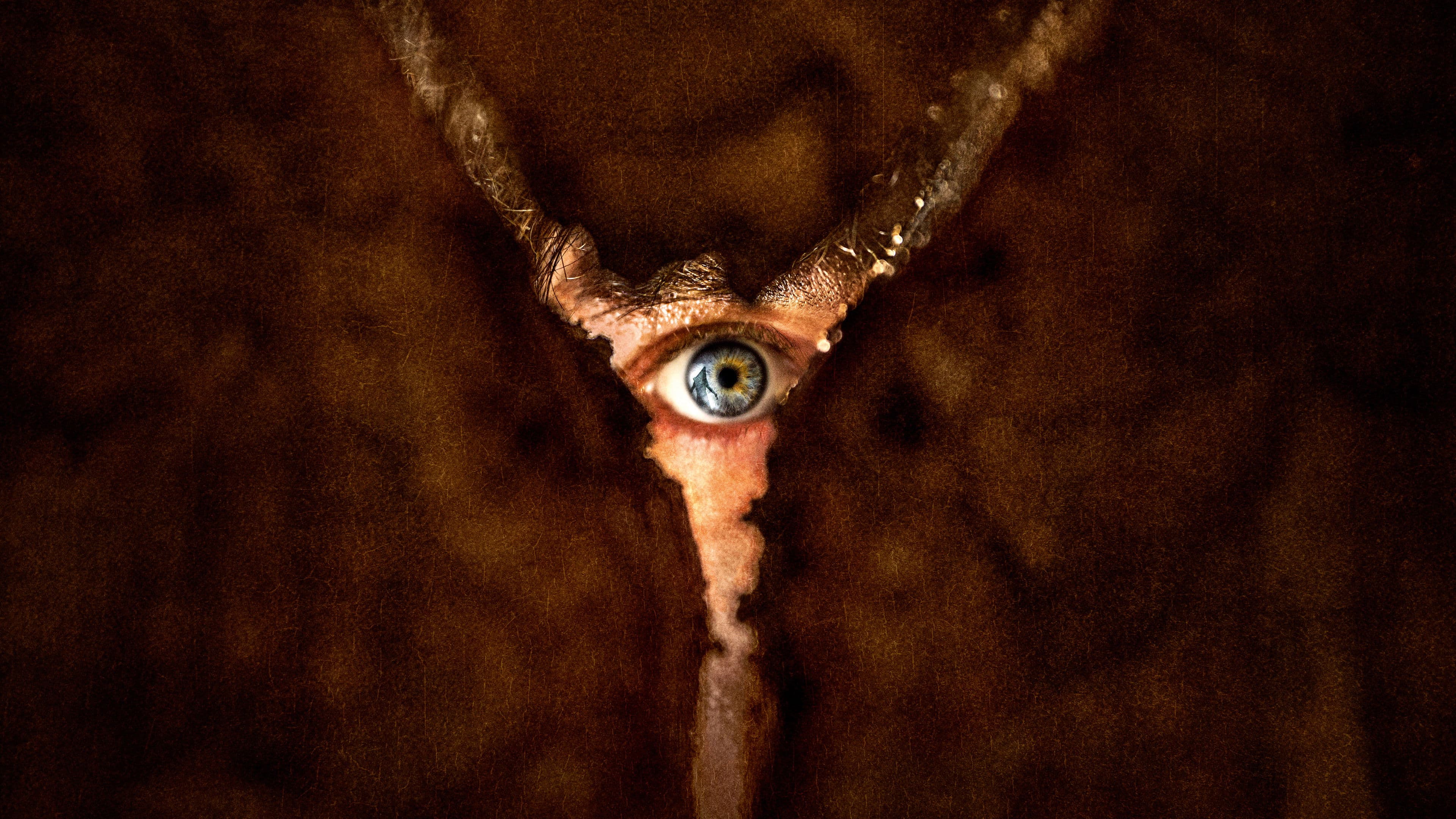 Retour à Silent Hill