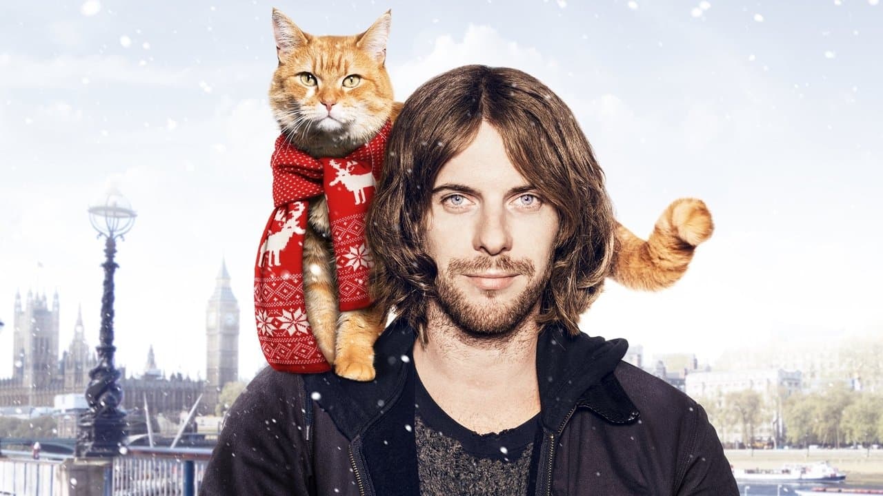 Un chat pour la vie