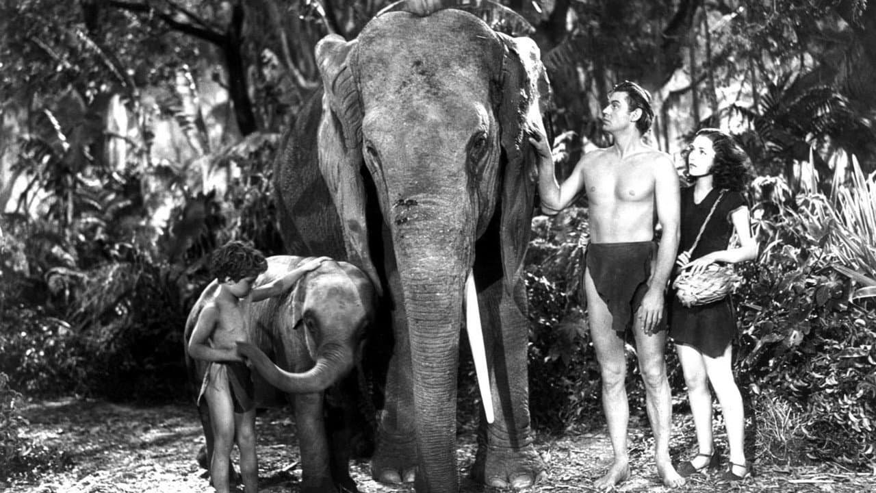Tarzan trouve un fils