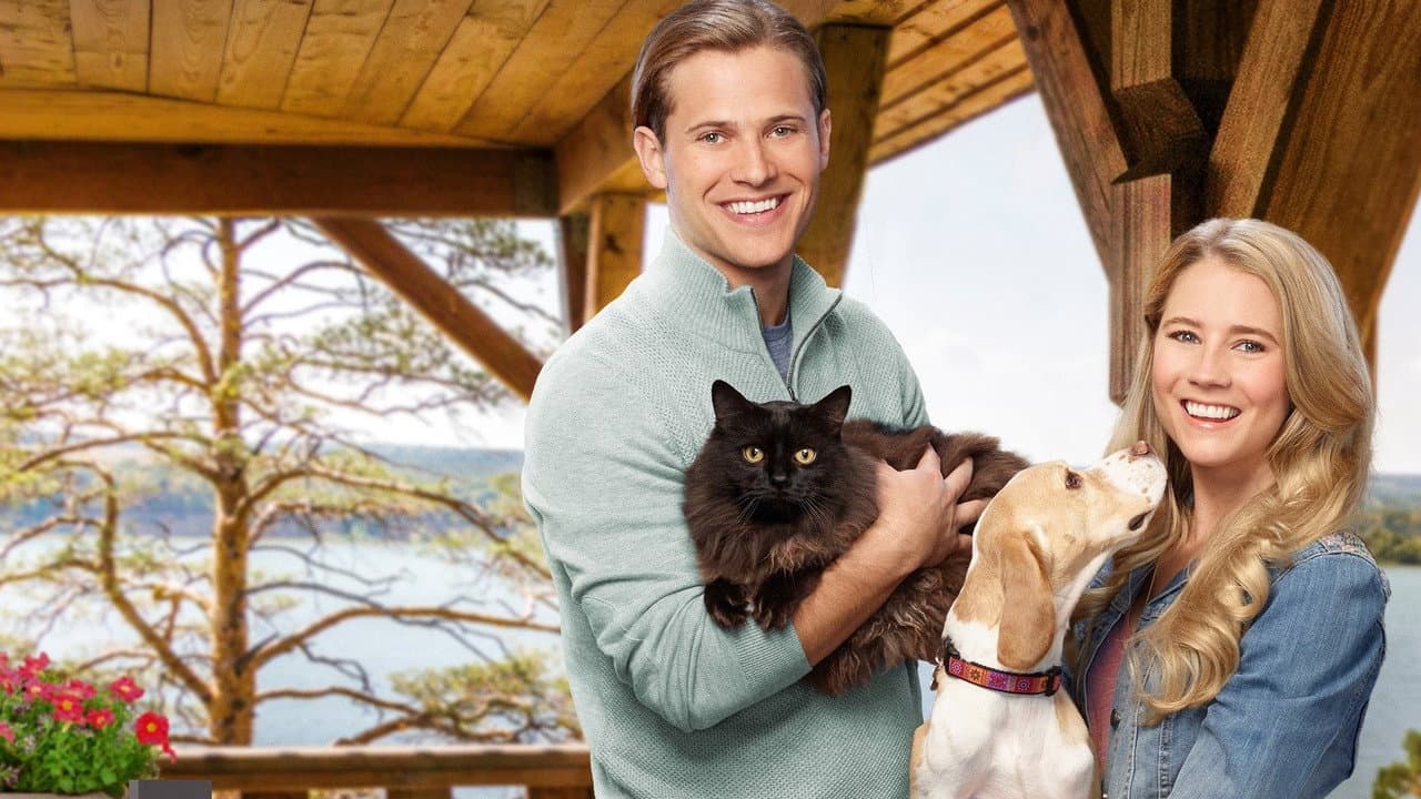 L'amour comme chiens et chats