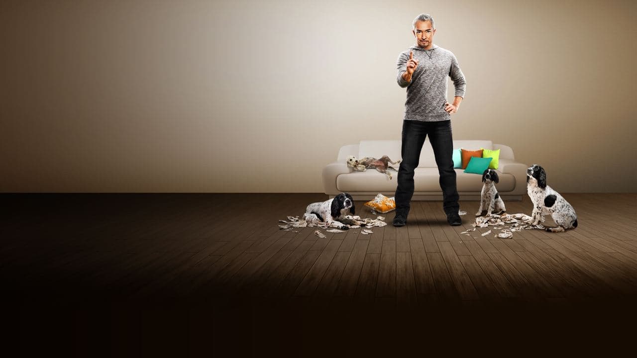 César, l'homme qui parlait aux chiens