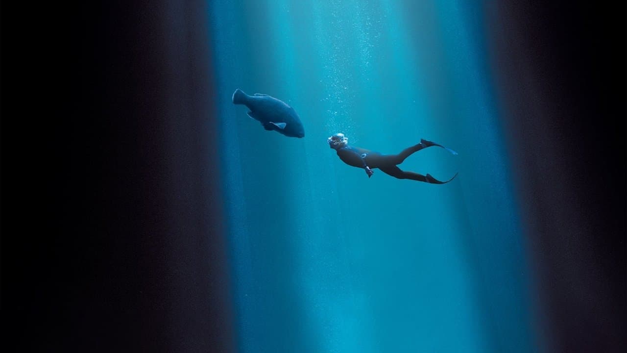 Blueback : Une amitié sous-marine