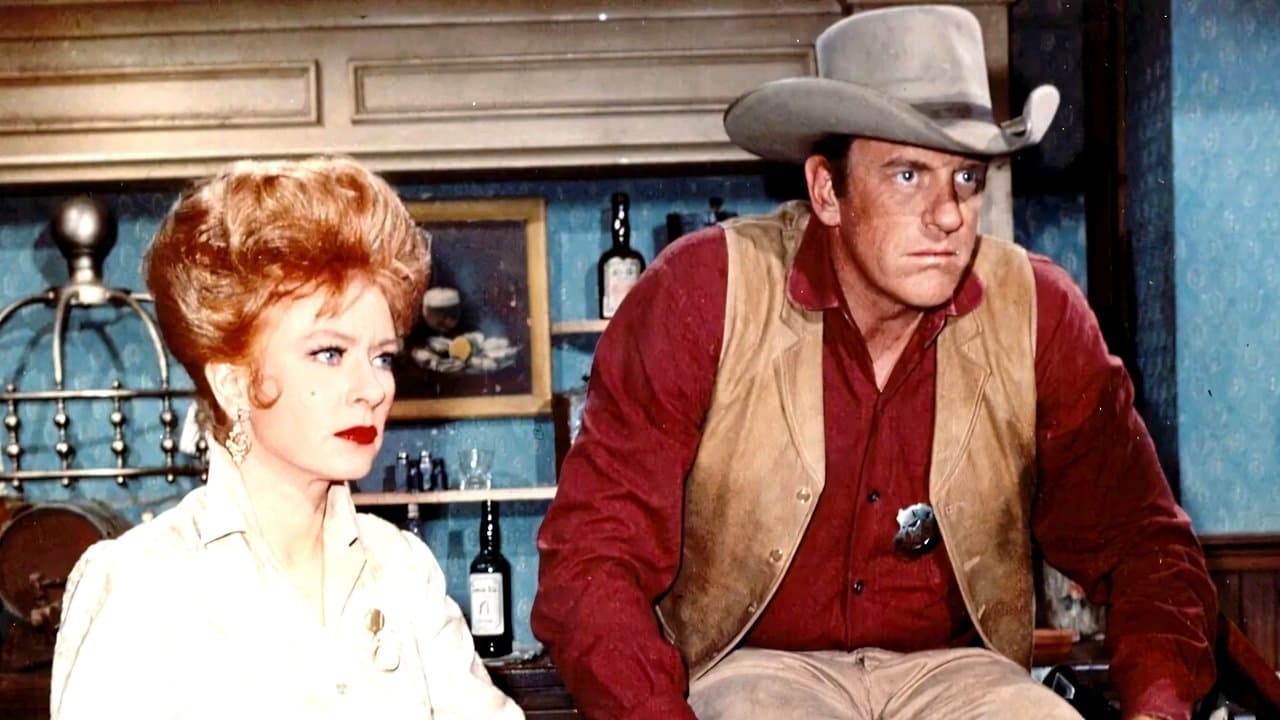 Gunsmoke Police Des Plaines