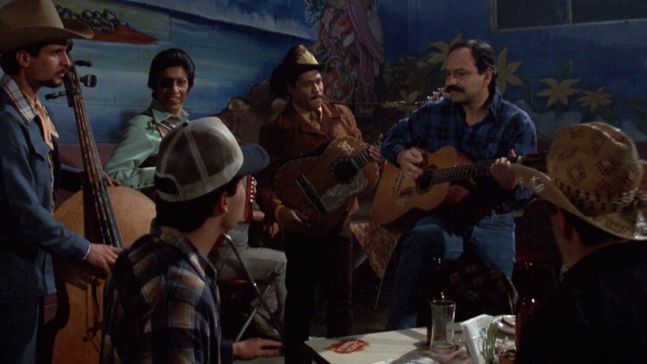 American chicano