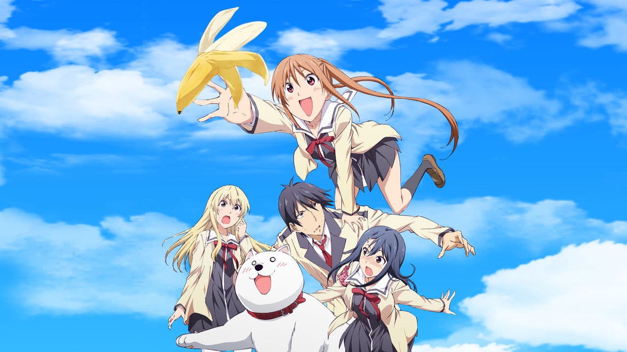 Aho Girl