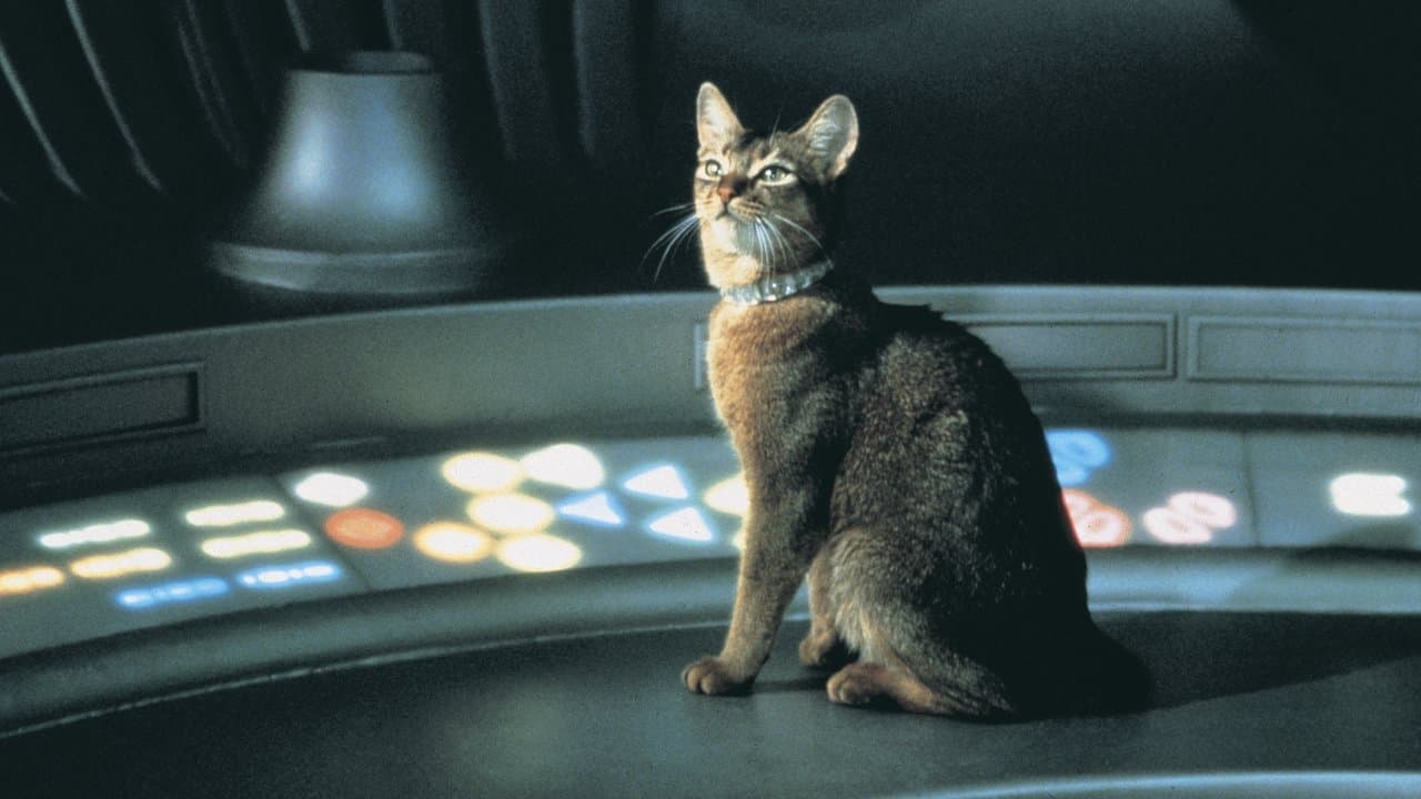 Le Chat qui vient de l'espace