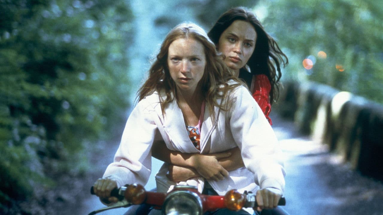 My summer of love