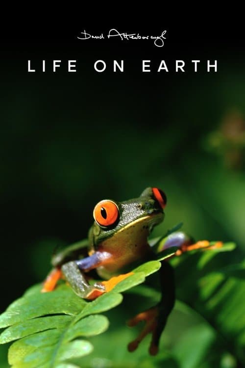La vie sur Terre