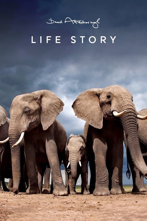 Le voyage de la vie