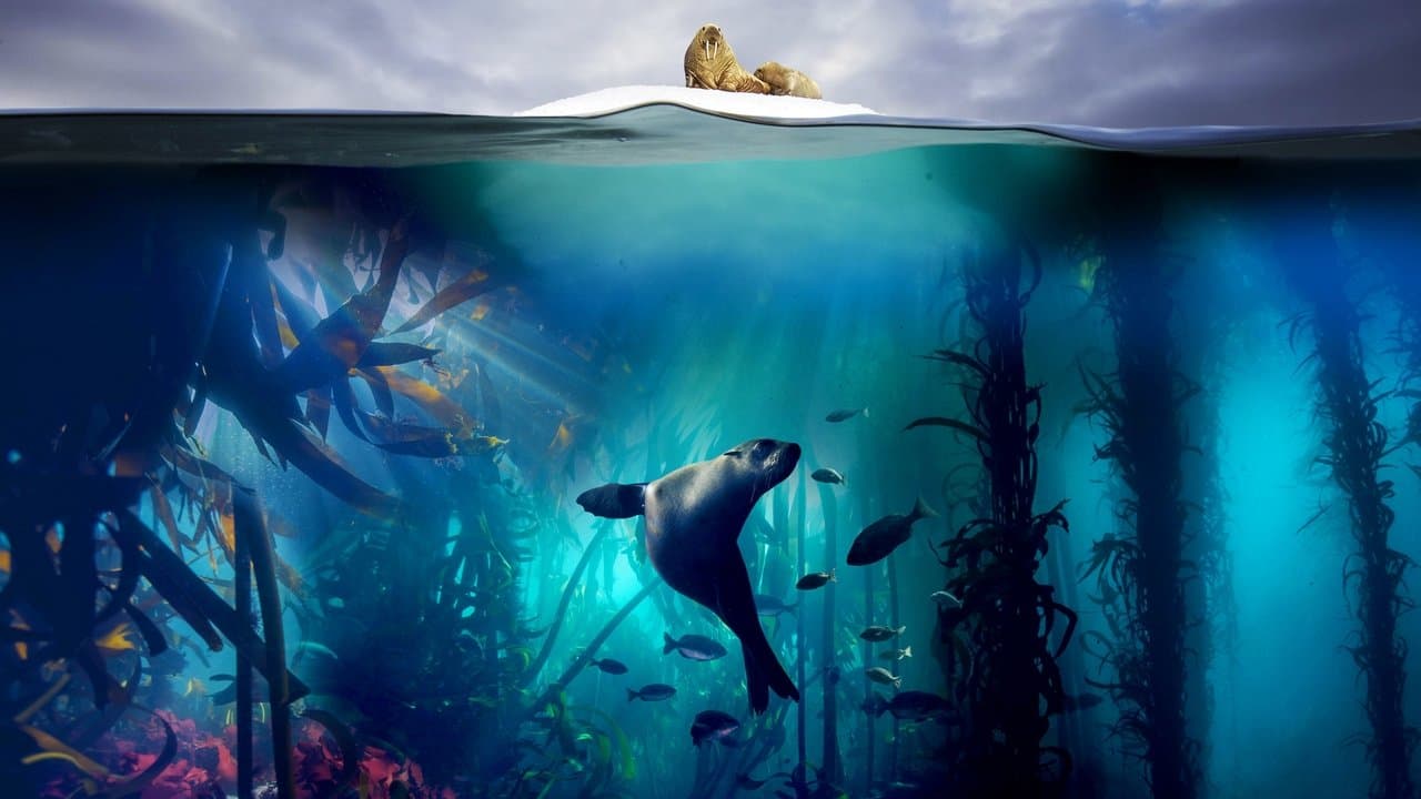 Planète bleue