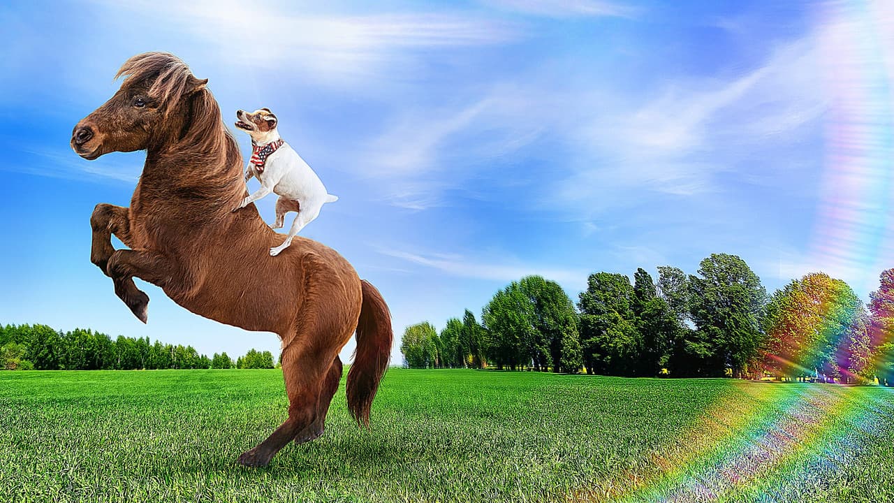 Les aventures de Dally et Spanky
