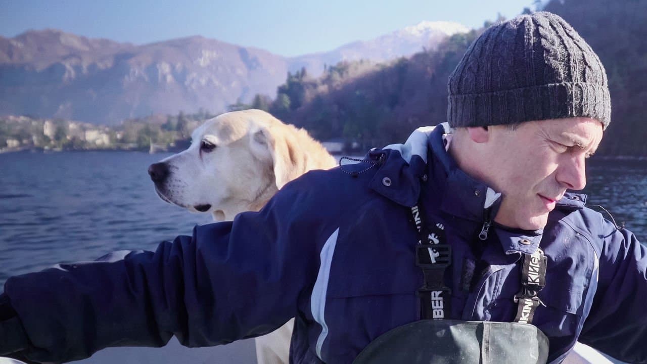 Nos amis les chiens