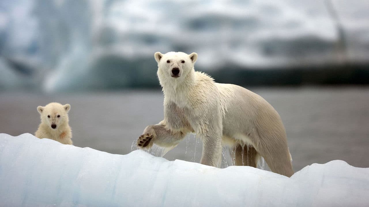 Révolutions dans la nature