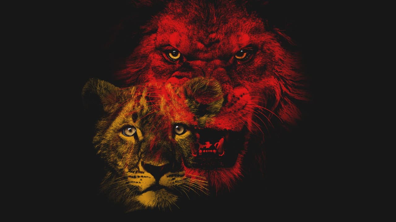 Le Royaume Sauvage