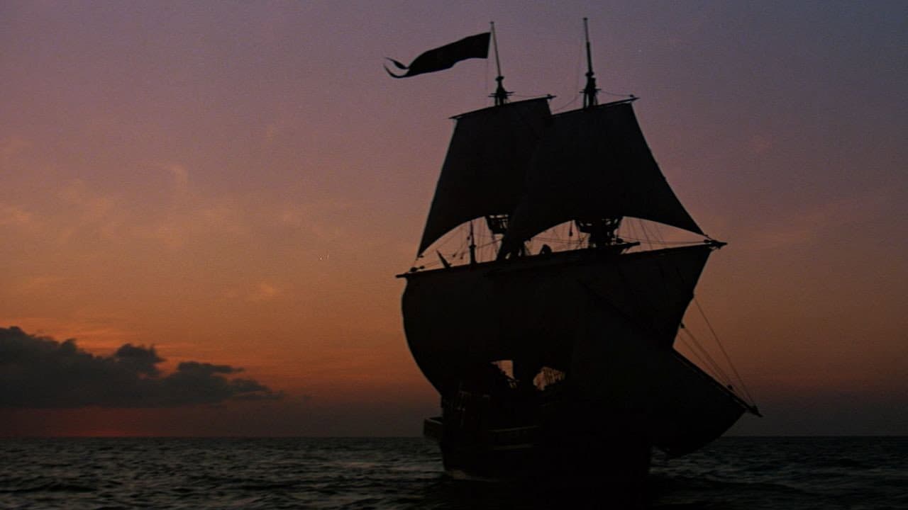 Le Pirate des Caraïbes