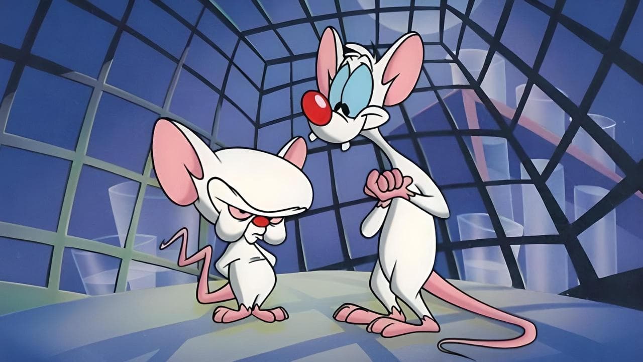 Minus et Cortex