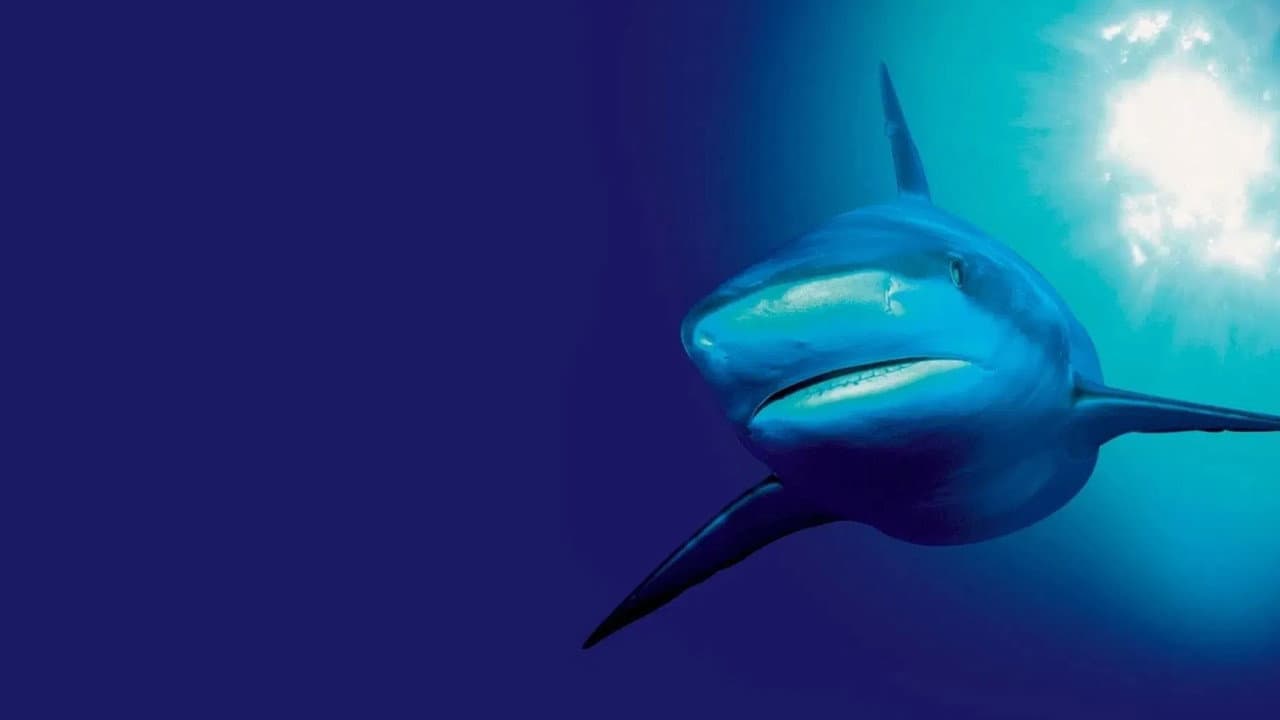 Au cœur des océans - La Planète bleue