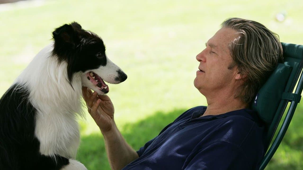 Une Année de Chien