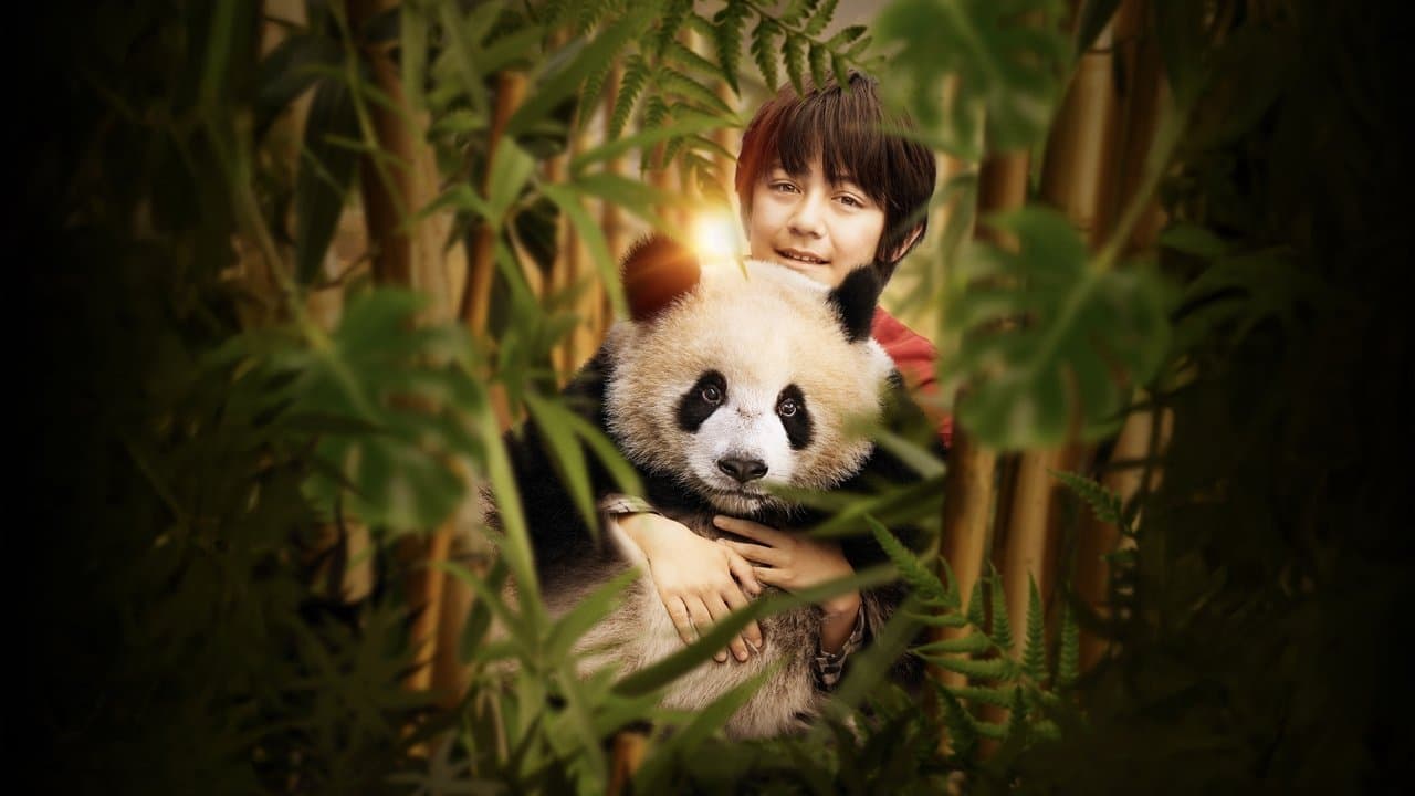 Moon le Panda