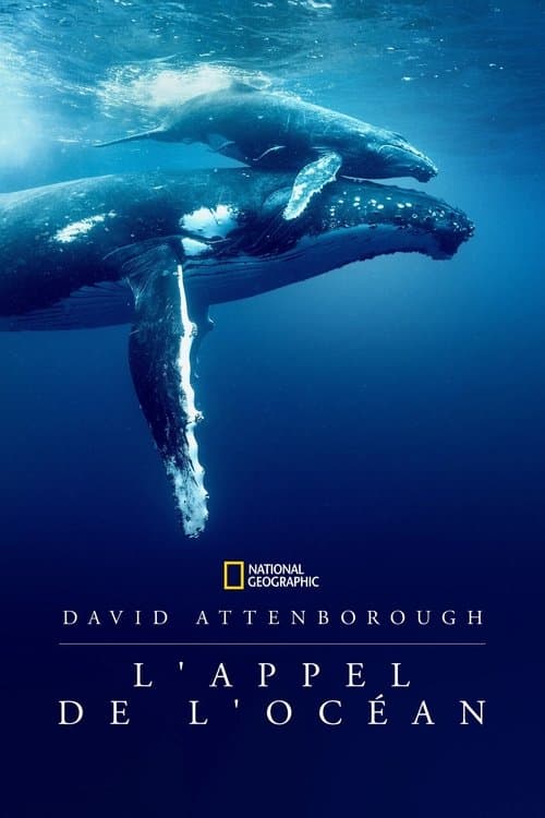 David Attenborough : L'Appel de l'Océan